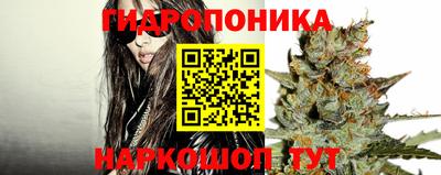 мяу мяу мука Бузулук
