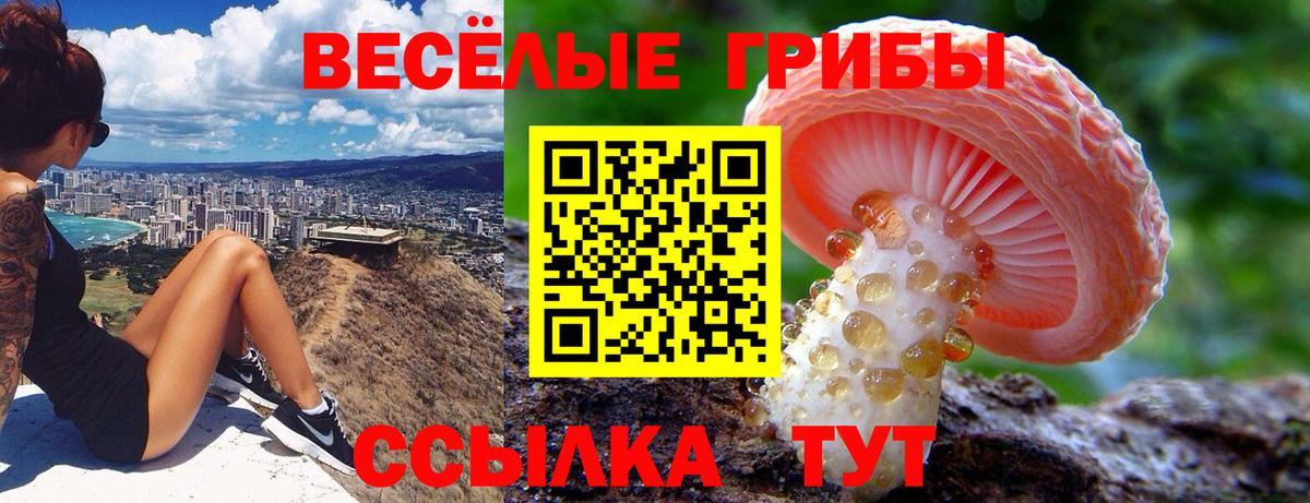 Сосновый Бор  Псилоцибиновые грибы MAGIC MUSHROOMS  Вход с VPN  Галлюциногенные грибы Magic Shrooms 