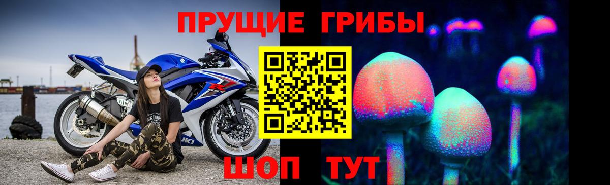 Псилоцибиновые грибы прущие грибы Сосновый Бор